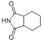 顺式六氢邻苯二甲酰亚胺